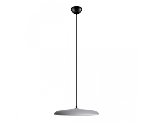 Основное фото Светильник подвесной Loft IT Plato 10119 Grey: Купить в Интернет магазин освещения GCSVET.RU