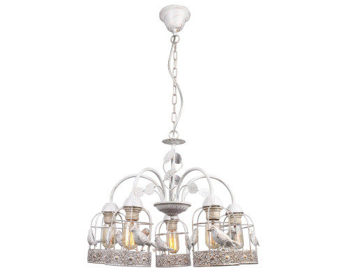 Основное фото Люстра подвесная Arte Lamp Cincia A5090LM-5WG: Купить в Интернет магазин освещения GCSVET.RU