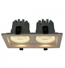 Светильник встраиваемый LED Arte Lamp Privato A7007PL-2WH