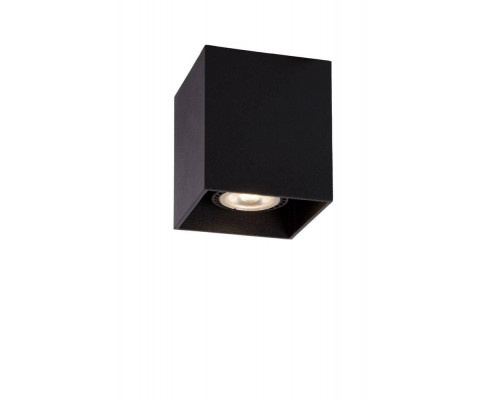 Основное фото Светильник потолочный Lucide Bodi 09101/01/30: Купить в Интернет магазин освещения GCSVET.RU