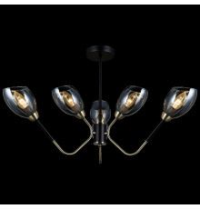 Люстра потолочная Illumico IL9960-6CSQ-79 BK AB