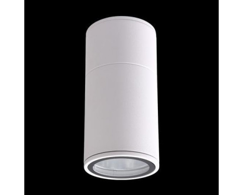 Основное фото Светильник уличный Crystal Lux CLT 138C180 WH: Купить в Интернет магазин освещения GCSVET.RU