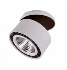 Светильник спот (встраиваемый) Lightstar Forte Inca 213849