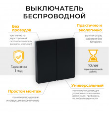 Выключатель беспроводной двухклавишный Feron TM82 41723