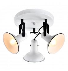 Светильник спот Lussole Loft Fargo LSP-8803