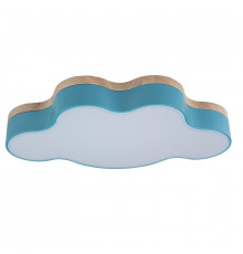 Светильник потолочный Loft IT AXEL 10005/30 Blue