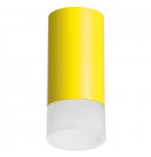 Светильник накладной Lightstar Rullo R43331 (214433+202431)