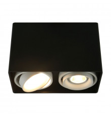 Светильник потолочный Arte Lamp A5655PL-2BK