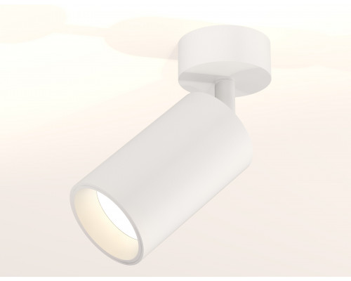 Дополнительное фото Спот накладной (поворотный) Ambrella Light Techno XM6322001 (A2202, C6322, N6110): Купить в Интернет магазин освещения GCSVET.RU