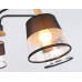 Дополнительное фото Люстра потолочная Ambrella Light Modern Losk TR4741: Купить в Интернет магазин освещения GCSVET.RU