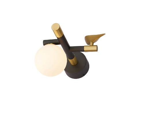 Основное фото Настенный светильник Favourite Sparrow 4324-1W: Купить в Интернет магазин освещения GCSVET.RU