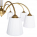Дополнительное фото Люстра потолочная Arte Lamp Gracie A7301PL-8PB: Купить в Интернет магазин освещения GCSVET.RU
