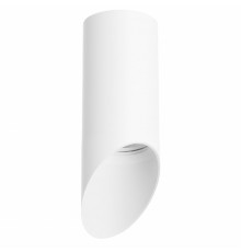 Светильник потолочный Lightstar RULLO R43636 (214436+201436)