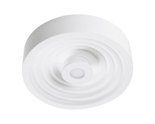 Основное фото Светильник потолочный LED Escada 10218/S LED: Купить в Интернет магазин освещения GCSVET.RU