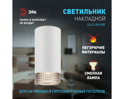Дополнительное фото Светильник накладной Эра OL40 WH/GR Б0058478: Купить в Интернет магазин освещения GCSVET.RU