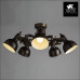 Дополнительное фото Люстра потолочная Arte Lamp Martin A5216PL-5BR: Купить в Интернет магазин освещения GCSVET.RU