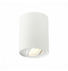 Светильник потолочный ST LUCE ST108.517.01