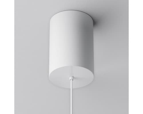 Дополнительное фото Светильник подвесной Maytoni Plato P076PL-L12W3K-W: Купить в Интернет магазин освещения GCSVET.RU