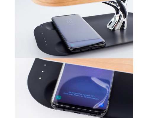 Дополнительное фото Лампа настольная Citilux Ньютон CL803042: Купить в Интернет магазин освещения GCSVET.RU