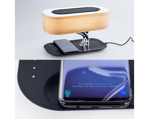 Дополнительное фото Лампа настольная Citilux Ньютон CL803042: Купить в Интернет магазин освещения GCSVET.RU