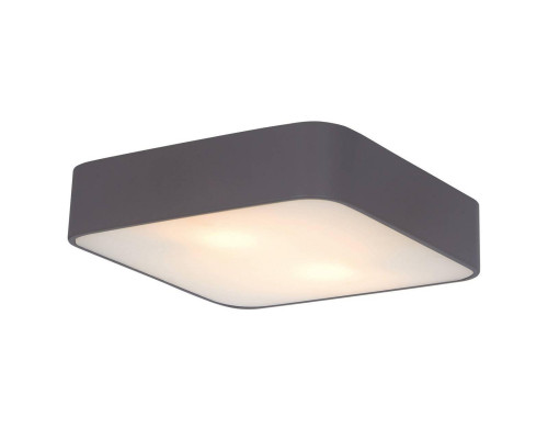 Основное фото Светильник потолочный Arte Lamp Cosmopolitan A7210PL-2BK: Купить в Интернет магазин освещения GCSVET.RU