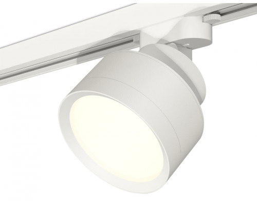 Основное фото Светильник трековый Ambrella Light Track System XT8101001 (A2524, A2105, C8101, N8112): Купить в Интернет магазин освещения GCSVET.RU