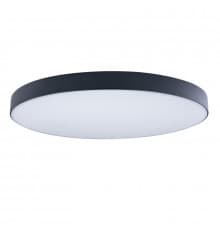Светильник потолочный Loft IT AXEL 10002/48 Black