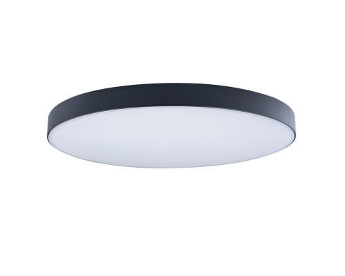 Основное фото Светильник потолочный Loft IT AXEL 10002/48 Black: Купить в Интернет магазин освещения GCSVET.RU