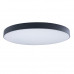Основное фото Светильник потолочный Loft IT AXEL 10002/48 Black: Купить в Интернет магазин освещения GCSVET.RU