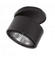 Светильник спот Lightstar Forte Inca 213807