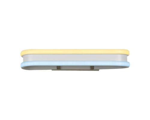Основное фото Светильник настенный LED Ambrella Light Line FL161: Купить в Интернет магазин освещения GCSVET.RU