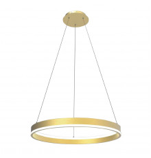 Светильник подвесной Lightstar Rotonda 736402