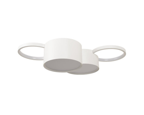 Основное фото Люстра потолочная Loft IT Pin 10317/4 White: Купить в Интернет магазин освещения GCSVET.RU