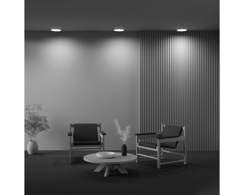 Дополнительное фото Светильник потолочный Maytoni Technical Ceiling Zon C032CL-24W4K-RD-MG: Купить в Интернет магазин освещения GCSVET.RU