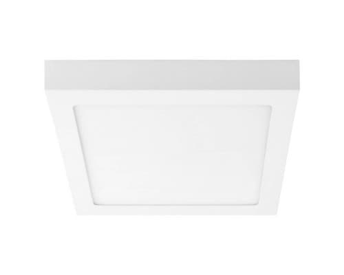 Основное фото Светильник потолочный LED Lightstar Zocco 324064: Купить в Интернет магазин освещения GCSVET.RU
