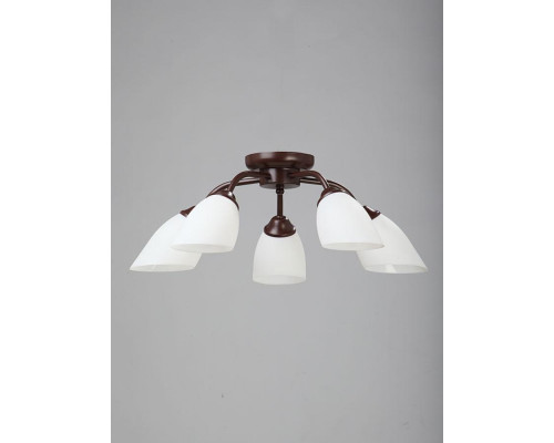 Основное фото Люстра потолочная Vitaluce V3252/5PL: Купить в Интернет магазин освещения GCSVET.RU