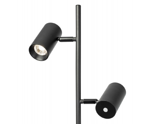 Дополнительное фото Напольный светильник Citilux Twin CL809011N: Купить в Интернет магазин освещения GCSVET.RU
