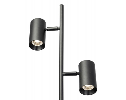 Дополнительное фото Напольный светильник Citilux Twin CL809011N: Купить в Интернет магазин освещения GCSVET.RU