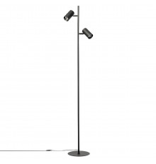 Напольный светильник Citilux Twin CL809011N