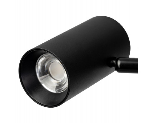Дополнительное фото Напольный светильник Citilux Twin CL809011N: Купить в Интернет магазин освещения GCSVET.RU