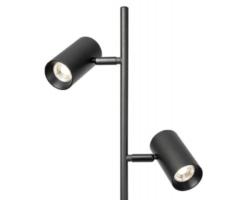 Дополнительное фото Напольный светильник Citilux Twin CL809011N: Купить в Интернет магазин освещения GCSVET.RU