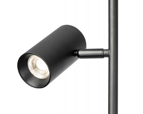 Дополнительное фото Напольный светильник Citilux Twin CL809011N: Купить в Интернет магазин освещения GCSVET.RU