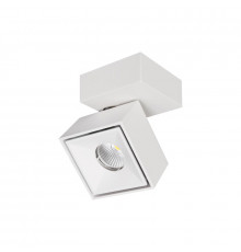 Светильник спот Citilux CL558020N