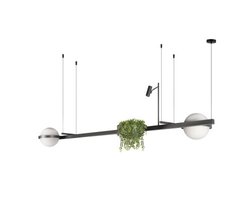 Дополнительное фото Люстра подвесная Loft IT Jardin 10121/C Dark grey: Купить в Интернет магазин освещения GCSVET.RU