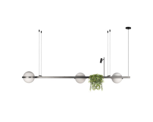 Основное фото Люстра подвесная Loft IT Jardin 10121/C Dark grey: Купить в Интернет магазин освещения GCSVET.RU