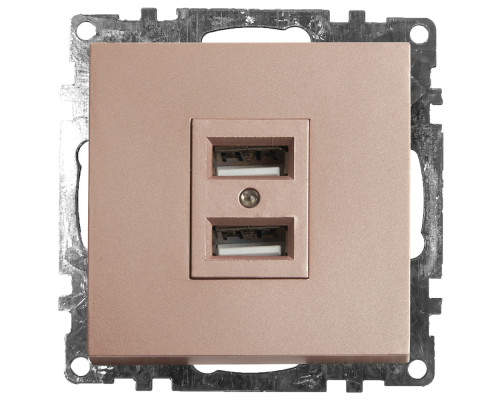 Основное фото Розетка USB 2-местная Stekker Катрин 39602: Купить в Интернет магазин освещения GCSVET.RU