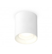 Светильник потолочный Ambrella Light Techno Spot XS7421010 (C7421, N7020)