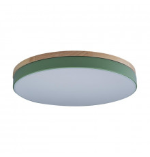 Светильник потолочный Loft IT AXEL 10001/36 Green