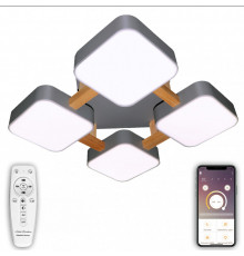 Светильник потолочный Natali Kovaltseva LED LAMPS 81324