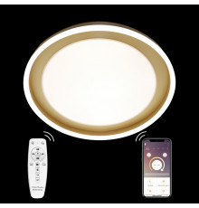 Люстра потолочная Natali Kovaltseva LED LAMPS 81301
